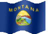 montana logo